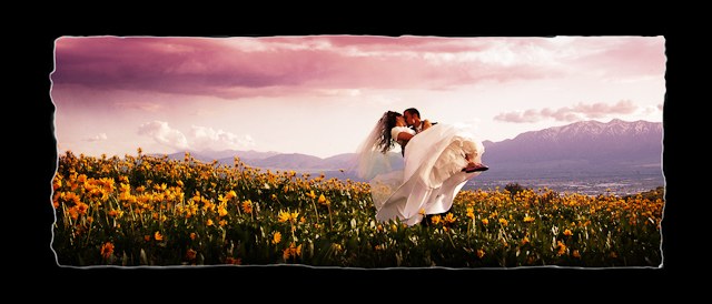 Weddings / 24