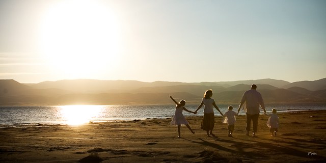 Families / 01