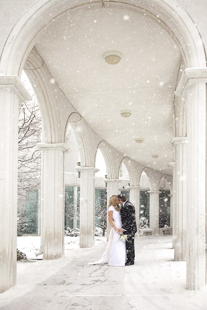 Weddings / 10